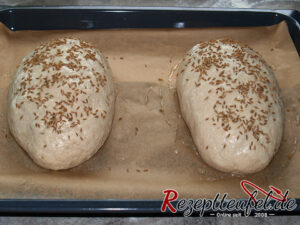 Die Laibe befeuchten und mit Kümmel bestreuen