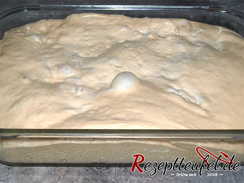 Pizzateig in der Schüssel nach 24 Stunden von oben