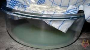 Die abgetropfte Flüssigkeit nach 24 Stunden