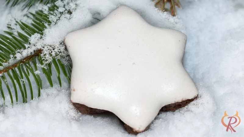 Zimtstern in der Nahansicht